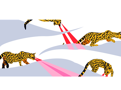 Long search art big cats design feline illustration ocelot vector