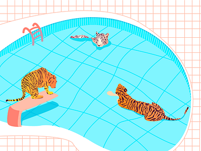 Holiday big cats feline illustration pool resting tigers