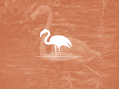 Flamingo art branding elegant flamingo graphic design illustrator logo minimalist modern vector