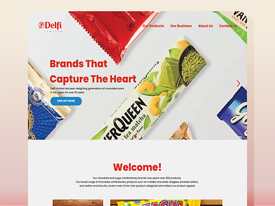 Delfi Website Redesign design graphic design ui