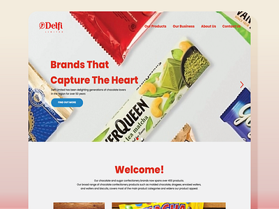 Delfi Website Redesign