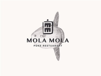 Mola Mola Logo Concept