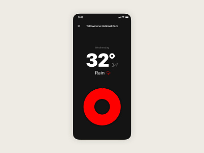 Weather app — Detailed forecast view app design app ui branding dark mode dark ui ios ios app ios app design product design uiux weather weather app