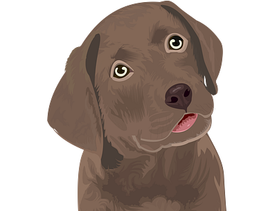 labrador puppy illustration animation graphic design illustration motion graphics vector