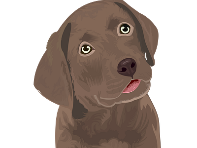 labrador puppy illustration