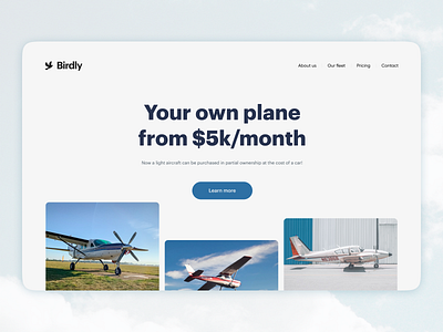 Birdly Service Landing agregator aircraft app interface landing plane startup ui ux webdesign