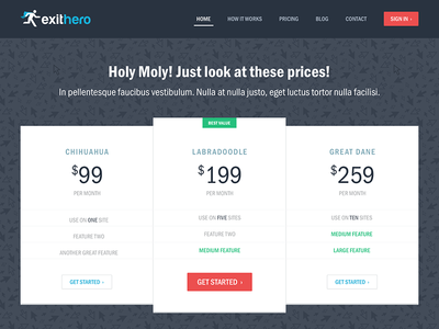 Exit Hero Pricing button flat headline navigation pattern pricing startup table ui web website