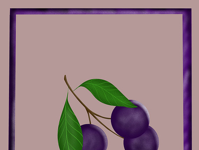 Grapes design illustration