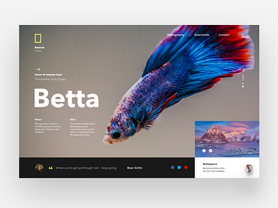 Betta dark header nature quote slider ui ux web