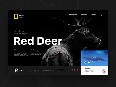 Red Deer - Header animals black gold header landing page nature slider ui ux web