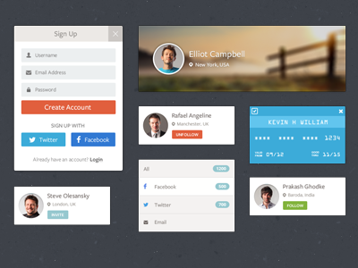 ui elements credit card email facebook follow invite photo profile signup twitter ui unfollow ux