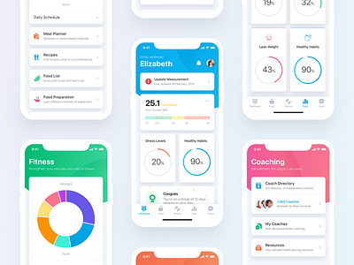 More Fitness Screens bmi coaching dashboard data fitness food stats ui ux