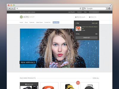 Acris Shop brands cart checkout ecommerce interface ui web web design