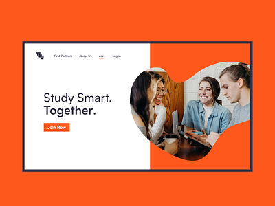 Study Platform Web Design