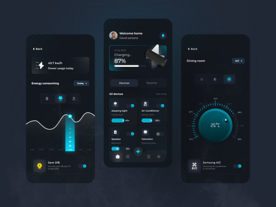 Smart Home App Concept