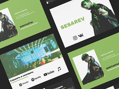 KP for Sesarev artist branding concept design graphic design illustration logo presentation ux vector дизайн кп