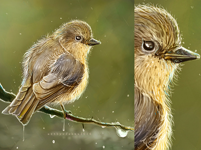 Digital Painting of a Cute sparrow - Speed Painting (Time Lapse) art photoshop cute cute illustration sparrow