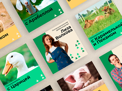 Задание для Яндекс.Практикума "Добрососедство" graphic design
