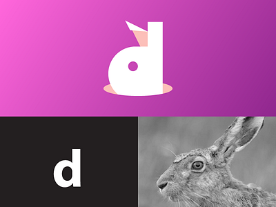 Draiocht Media brand branding bunny creative identity letterd lettering logo magical mark rabbit rabbit logo typography
