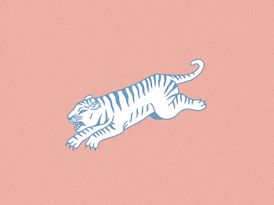 Tiger Illustration art artwork blue digital hand drawn hand made pink tattoo tiger wacom