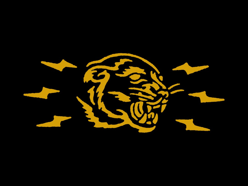 Panther Lockup by Pat Rogasch on Dribbble