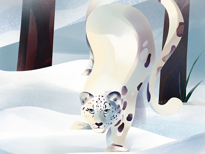 Snow Leopard