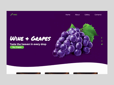 Wine and Grapes graphic design ui