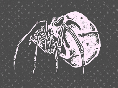 Crawler crawl creep death grim skull spider toxin venom