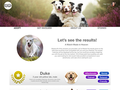 Pet Shelter Results Page (concept)