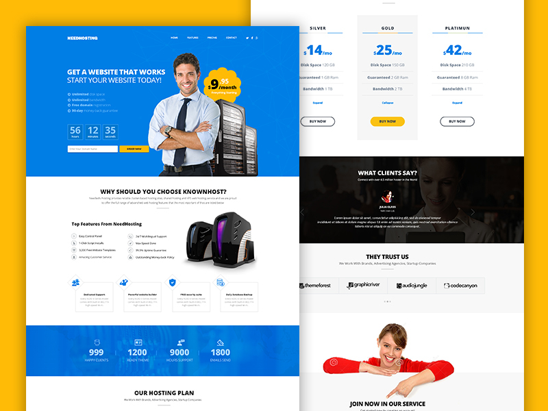 Needhosting Website Template Free Psd By Pavel On Dribbble Images, Photos, Reviews