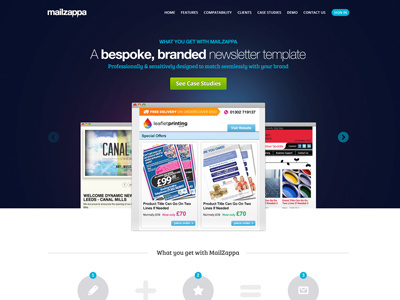 Mailzappa Website Design blue email emailmarketing homepage marketing website