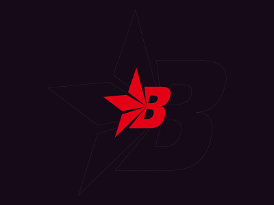 Letter B Logo Concept with Star