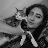 Mahla Hamzeh | UI,UX designer
