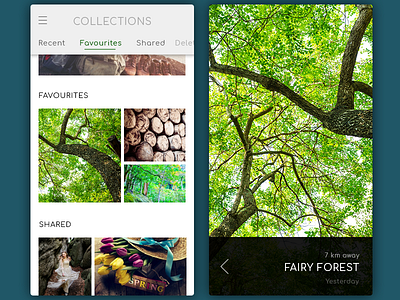 Daily UI, Week Five, Day 1 - Photo Album black collections forest photo tabs