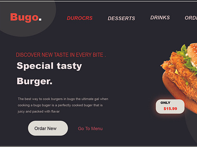 Website design  
Burger food