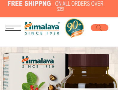 Website Design Himalaya