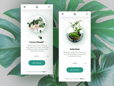 Onboarding Plant Store design invision mobile onboarding plants ui design web
