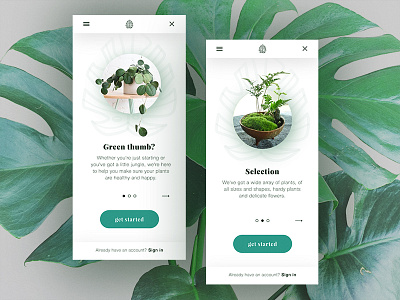 Onboarding Plant Store