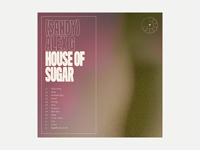 7. (Sandy) Alex G - House of Sugar album album art art grit music series texture typography