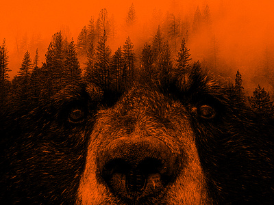 Bear in the Forest adobe photoshop art bear design digital art double exposure forest graphic design photoshop