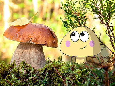 Happy mushrooms!