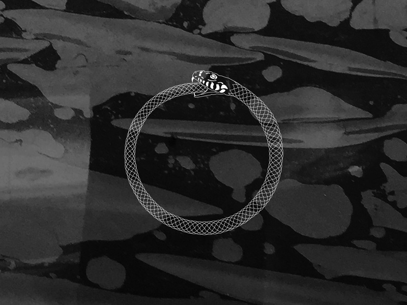 Lena Texture ouroboros illustration snake line logo icon white black texture