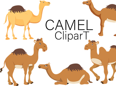 Camel clipart arabic art camel camel bundle camel clipart camel herder camel jockey camel race camel svg camel vector camels ride caravan cute animals graphic design hump journey mammal one humped camel sahara tourism two humped camel