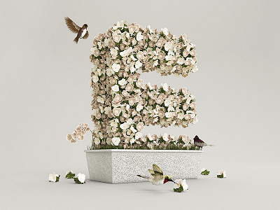 36 Days of Type 2015 36days 3d bird cgi flower lettering letters render type typography