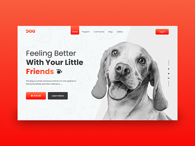 Landing Page : Pet Care Website (Hero Section)