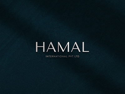 Hamal International PVT LTD 3d animation blue brand identity branding company corporate design graphic design illustration life logo luxury premium private silver strategy ui vector
