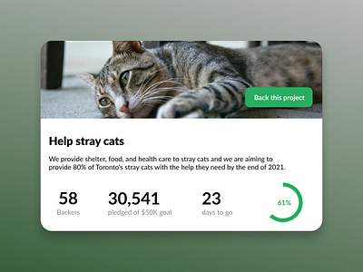 DailyUI 32 - Crowdfunding Campaign