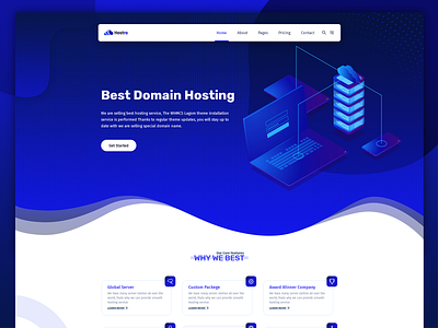 Hostring - Hosting and Domain Company Website Concept