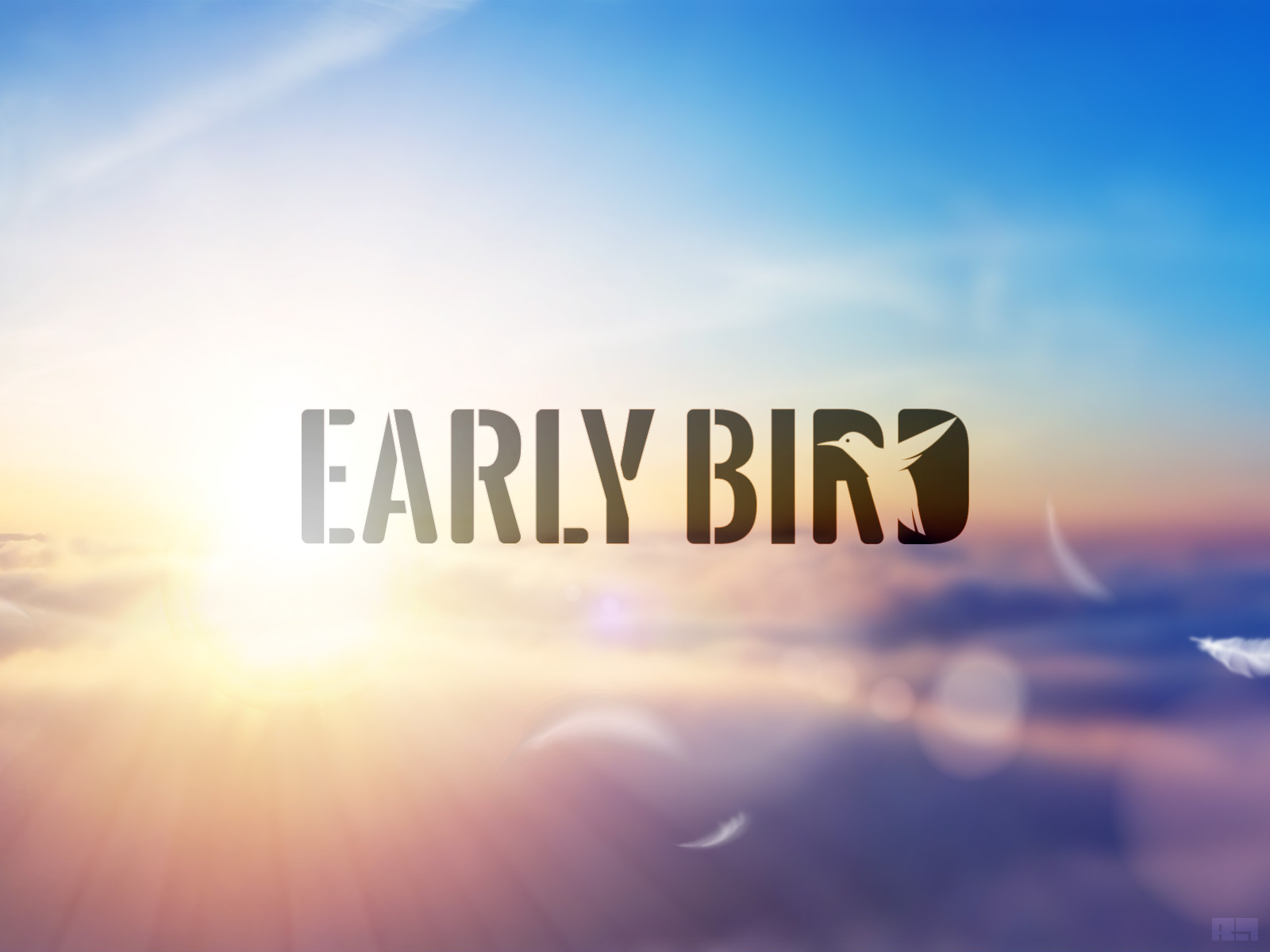 early bird logo by Razvan Muntean on Dribbble