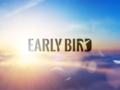 early bird logo bird bird logo branding early earlybird logo logotype morning sun sunrise